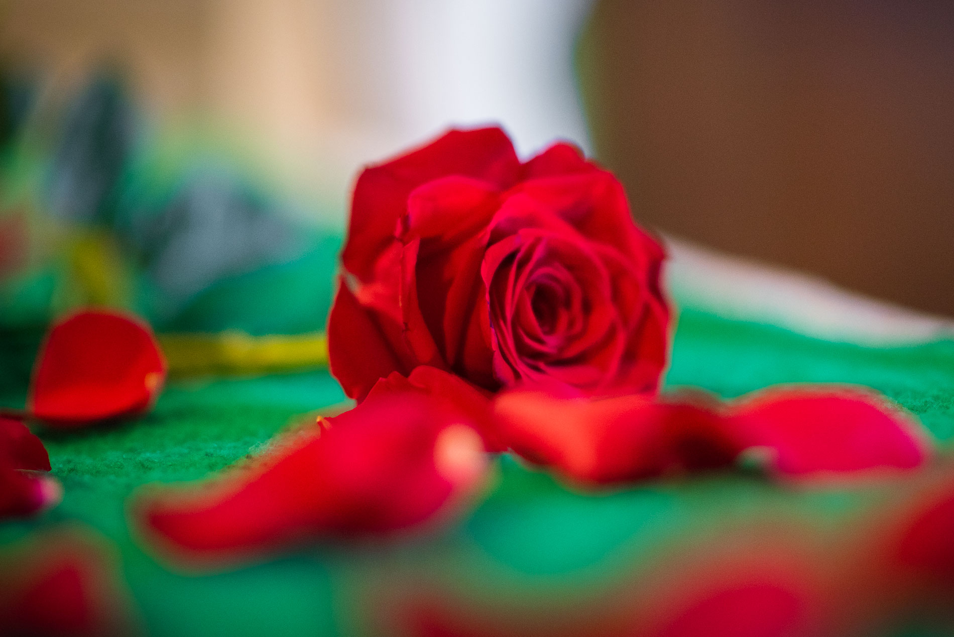 camere-header camere-header